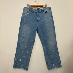 Anthropologie Light Blue Straight-Leg Jeans with Floral Embroidery